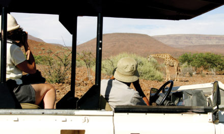 Tourism is too big to fail . . . banks must step up in this time of crisis