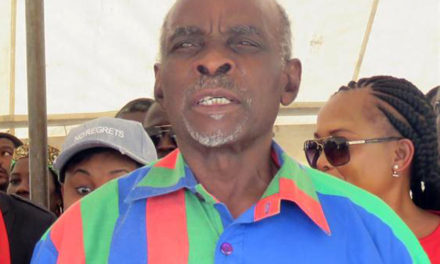 SWAPO Party 2020 – A Portrait