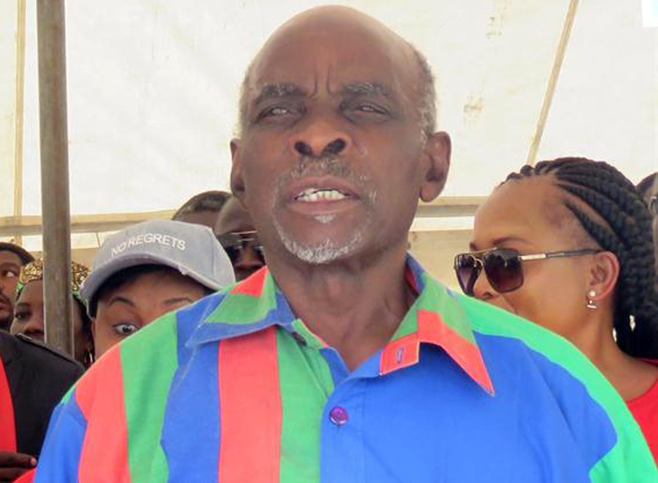 SWAPO Party 2020 – A Portrait