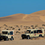 Tourism industry dying while waiting for bailout