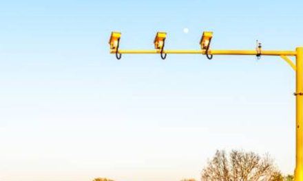 Nampol speed cameras idle