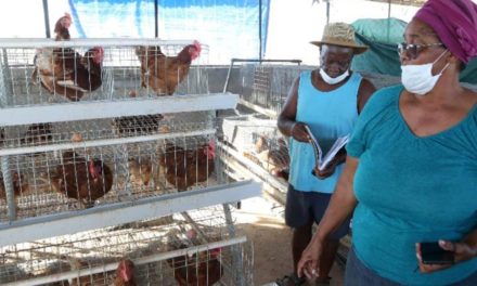 Farming is a life-long learning process
