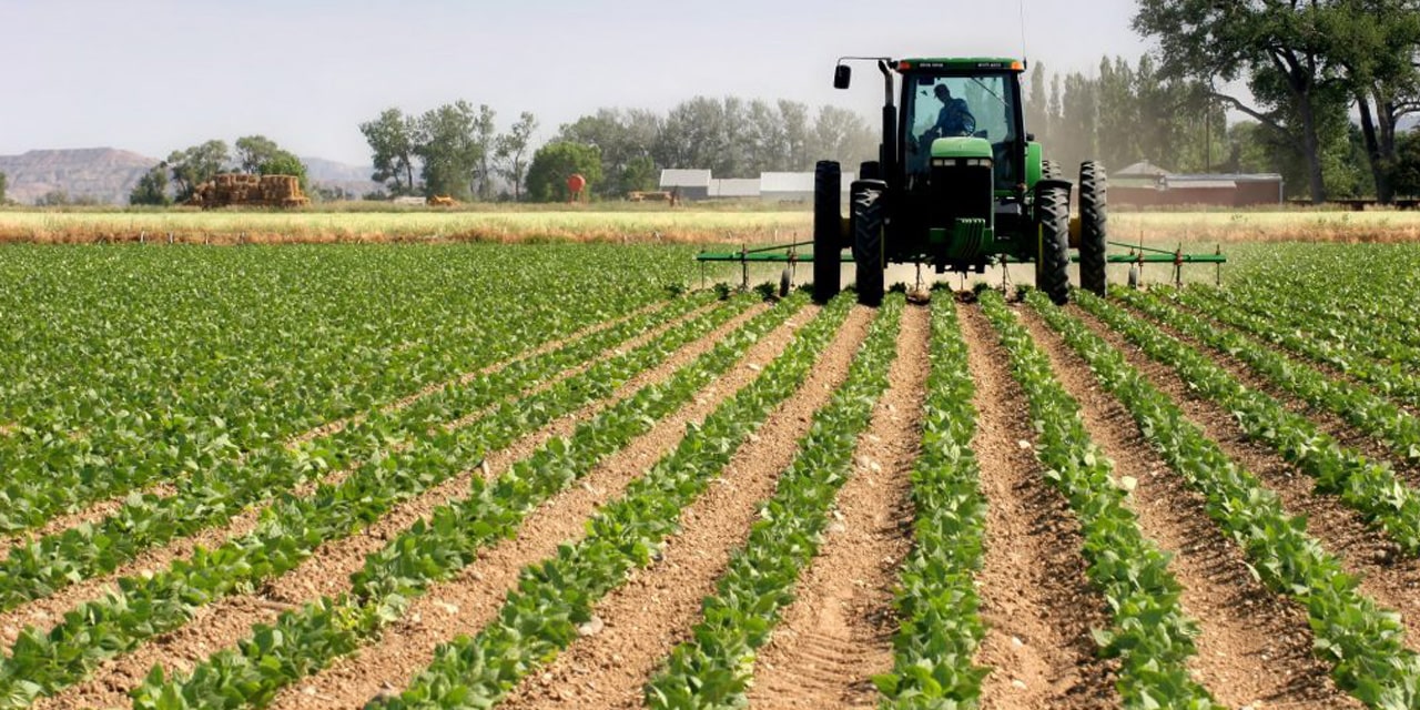 Agricultural sector continues lacklustre performance
