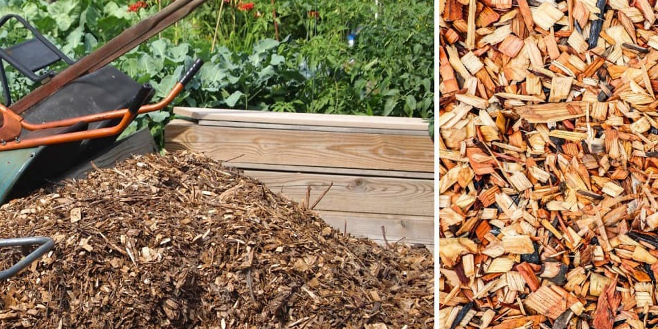 The Benefits of Mulching