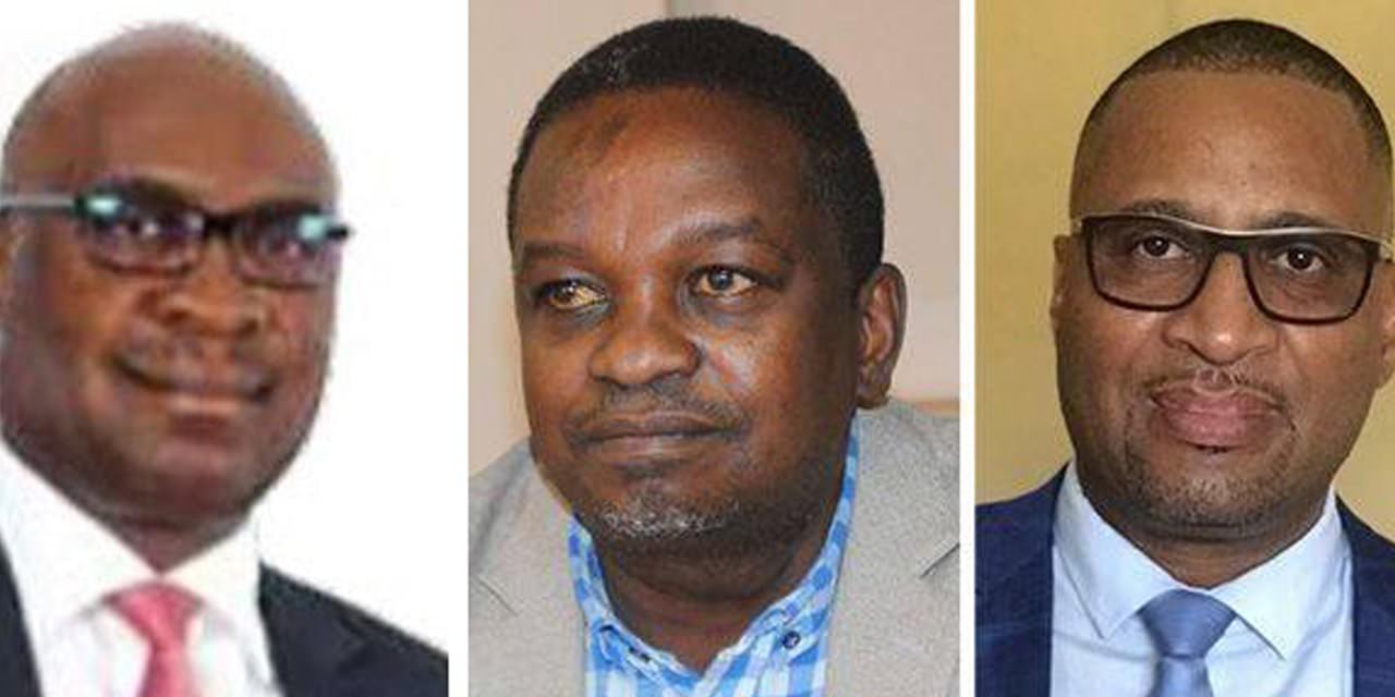 Walvis Bay CEO and three others suspended