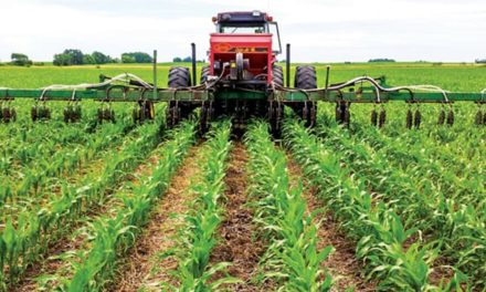 Weed Control an Integral Aspect of Crop Production