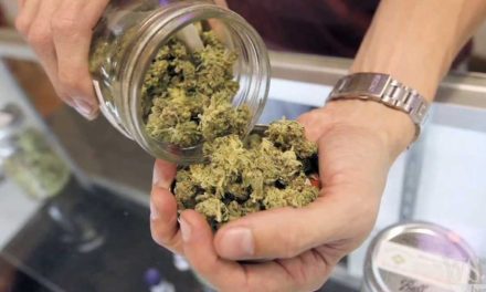 Only 56 submissions from cannabis consultations