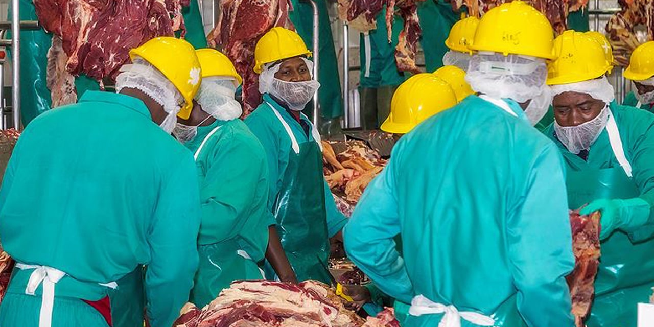 Meatco faces increased competition from private sector entrants