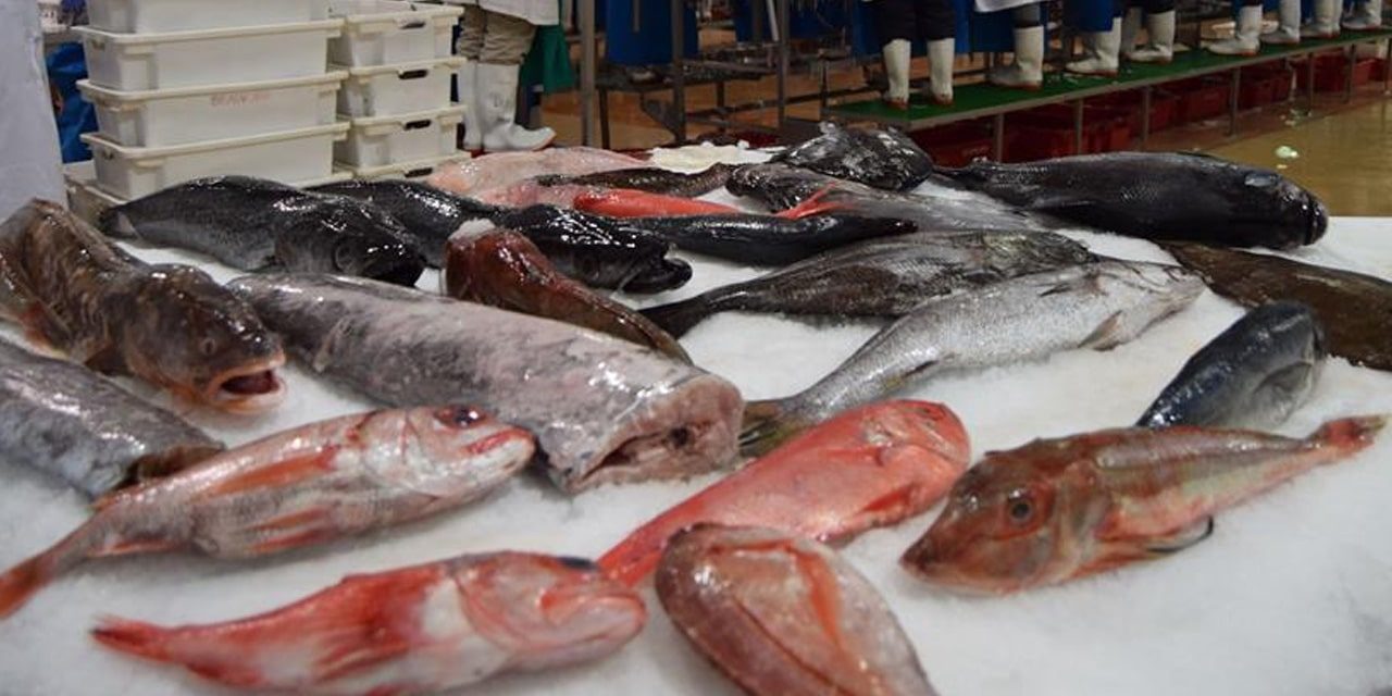 Govt targets N$183m in new fish quotas auction