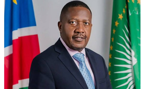 Namibia condemns Guinea coup