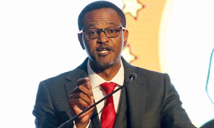 No gun detected in LPM lawyer’s bag at Parliament . . . detection due to machine malfunction wrongfully