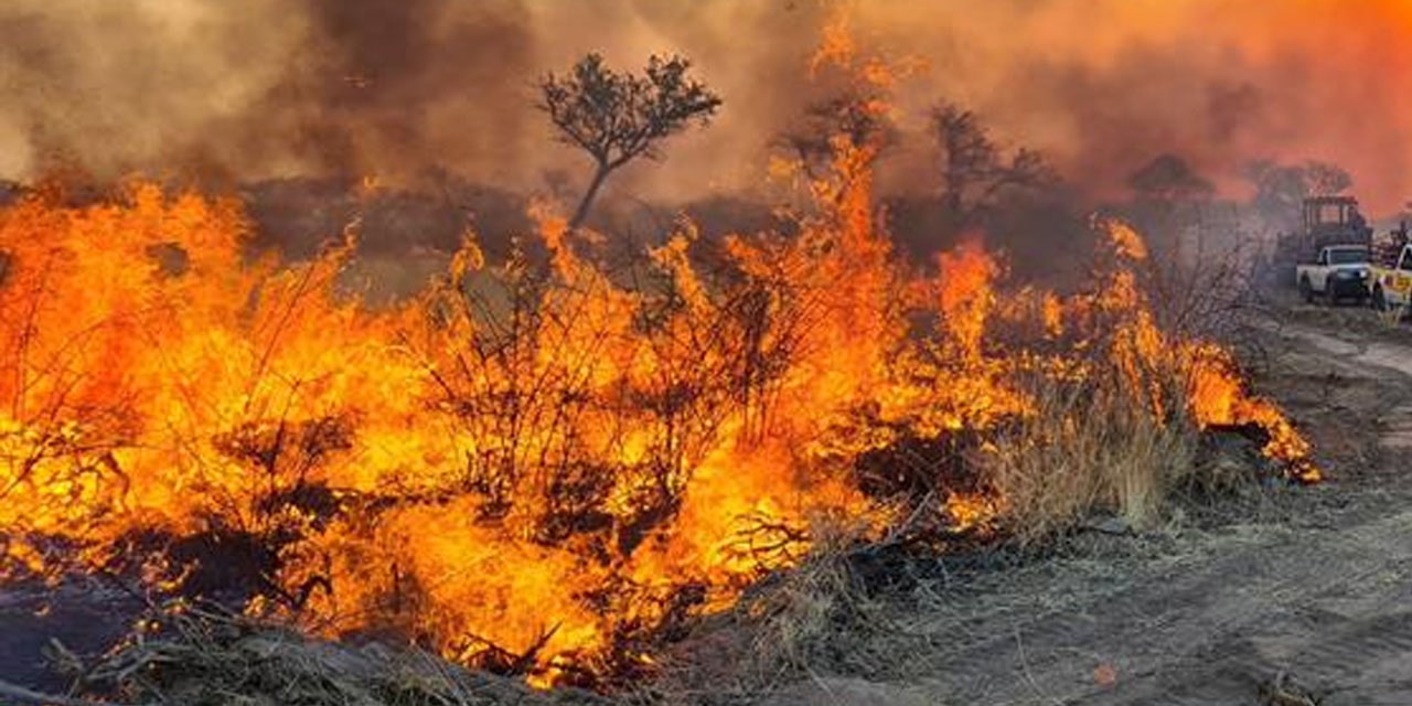 Etosha National Park on fire since Monday