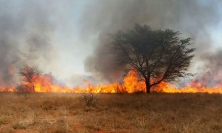 Raging veld fires soar on, as Tsumeb reports another