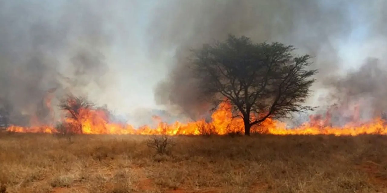Raging veld fires soar on, as Tsumeb reports another