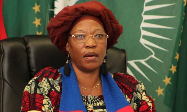 Swapo launches online newsletter and website