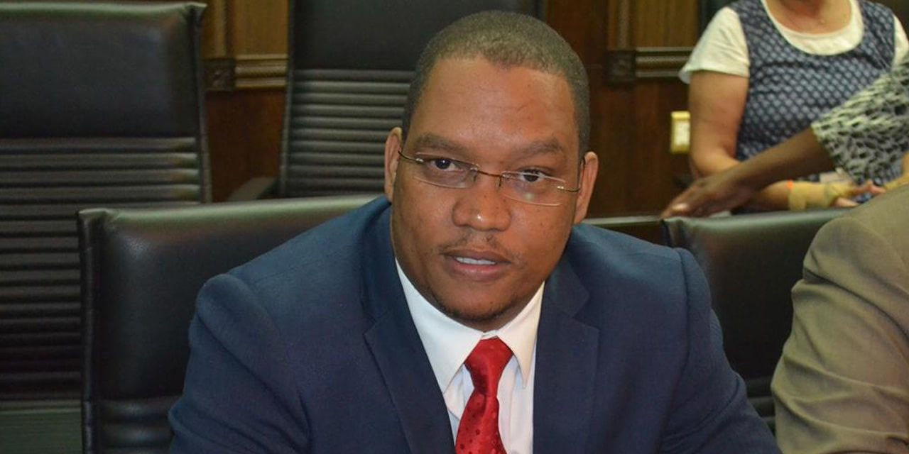 LPM cleaning up local councils: Swartbooi
