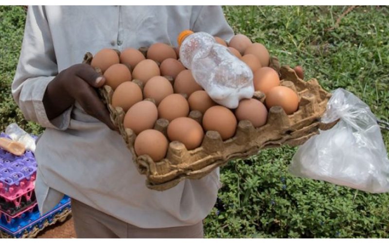 Undetected child labour in Namibia