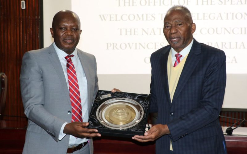 Namibia, SA selected on IPU Russia/Ukraine task force