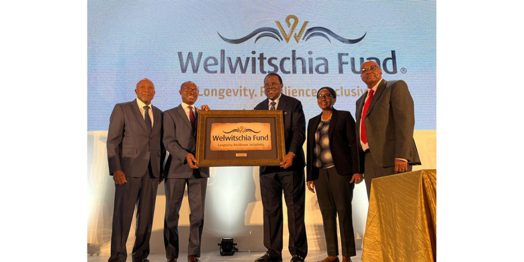 Wealth fund to strengthen Namibia’s fiscal stability