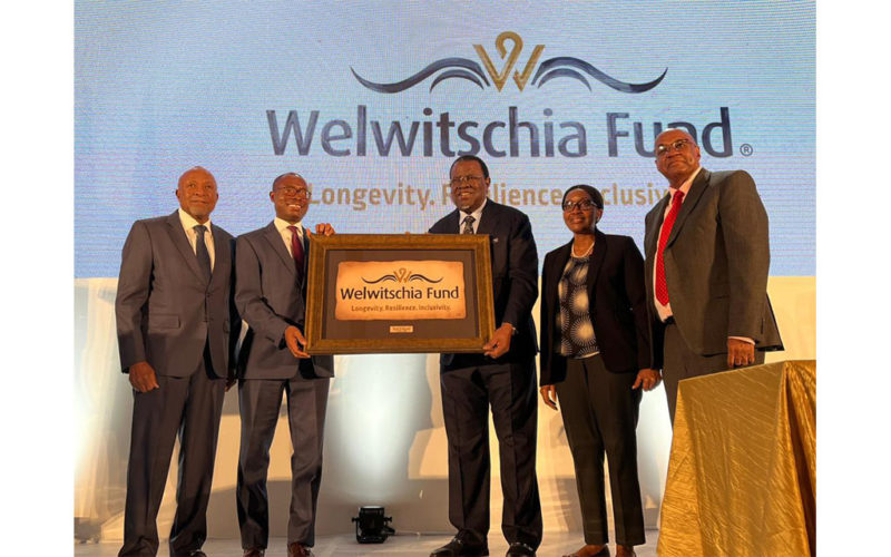 Wealth fund to strengthen Namibia’s fiscal stability