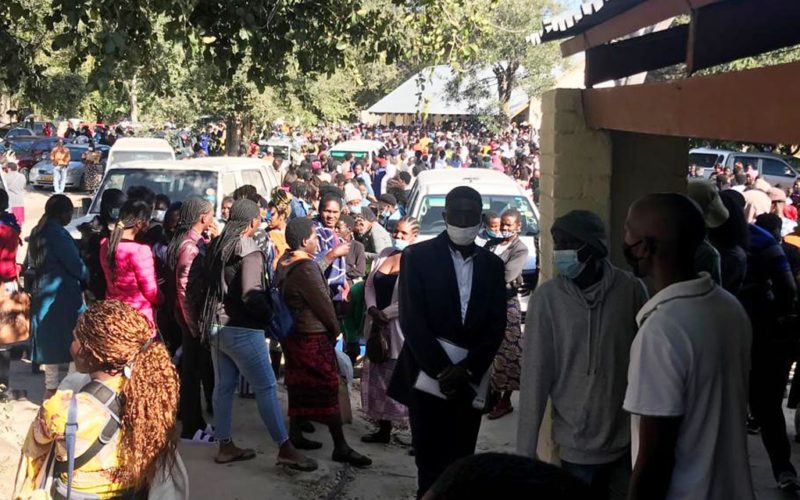 Over 5000 scramble for 48 veterinary jobs