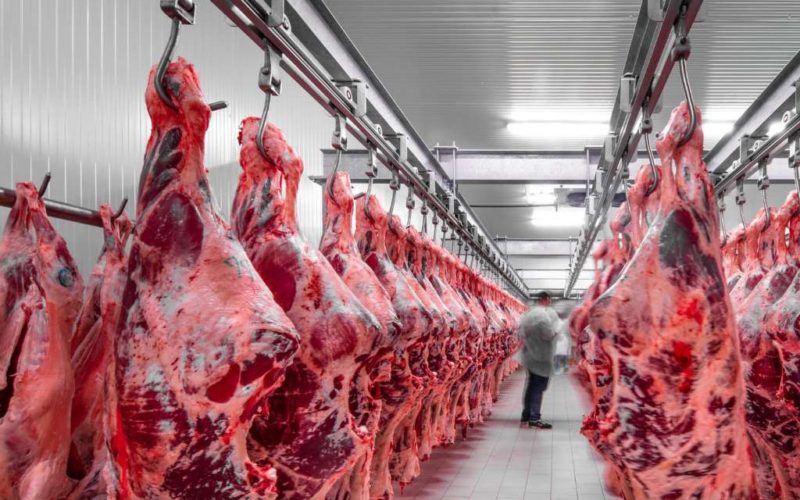 Double digit growth in livestock exports<br>…but prices of beef and mutton drop in May