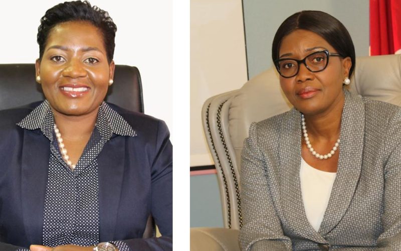 DBN provides seed capital for youth