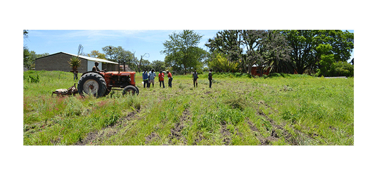 New project to resuscitate “dead” Ondera Farm