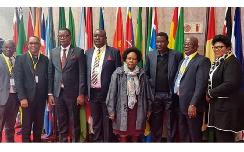 Rotational principle election saga under the scope