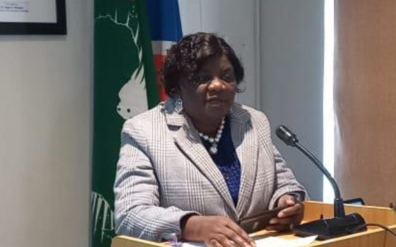 NC empowers standing committees
