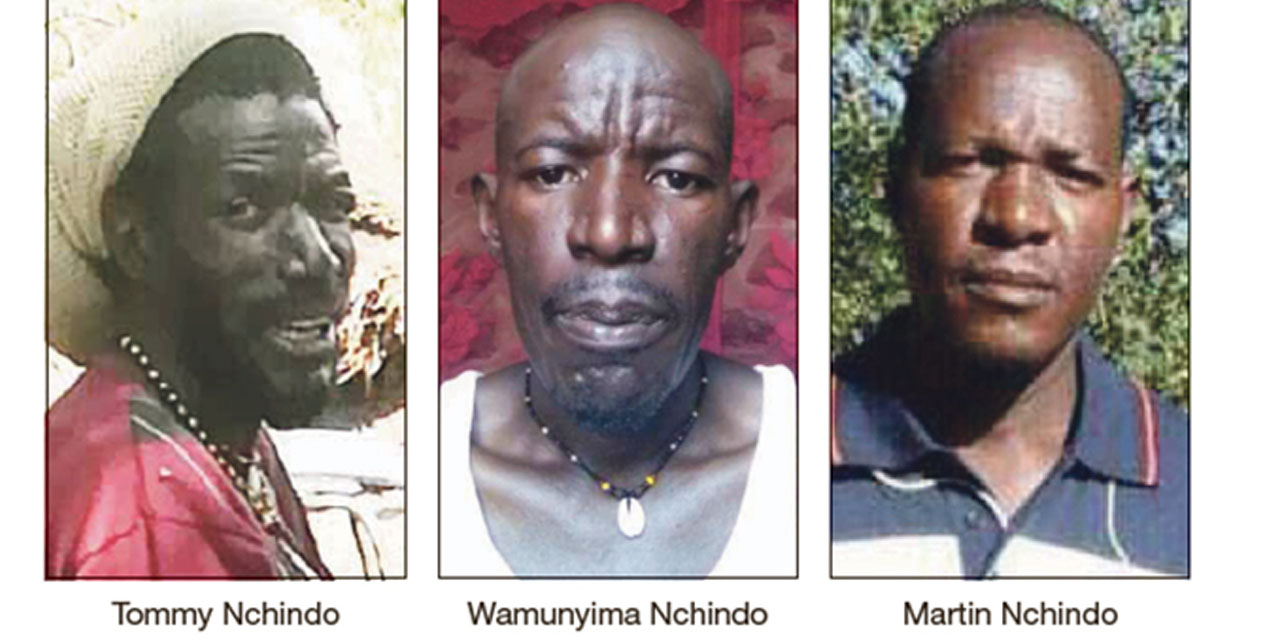 Botswana border murders land in The Hague