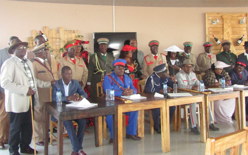 German government reveals Namibia determined with Joint Declaration