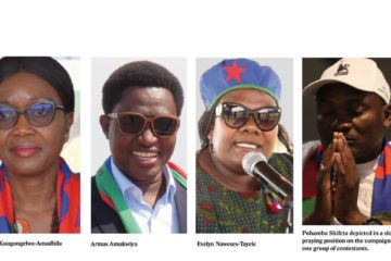 Swapo online campaigns take-off