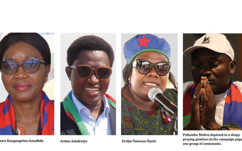 Swapo online campaigns take-off