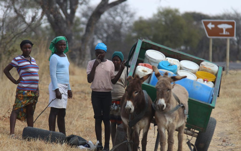 Health agriculture, women & youth in focus<br>… as Regional dialogue on accountability gets underway