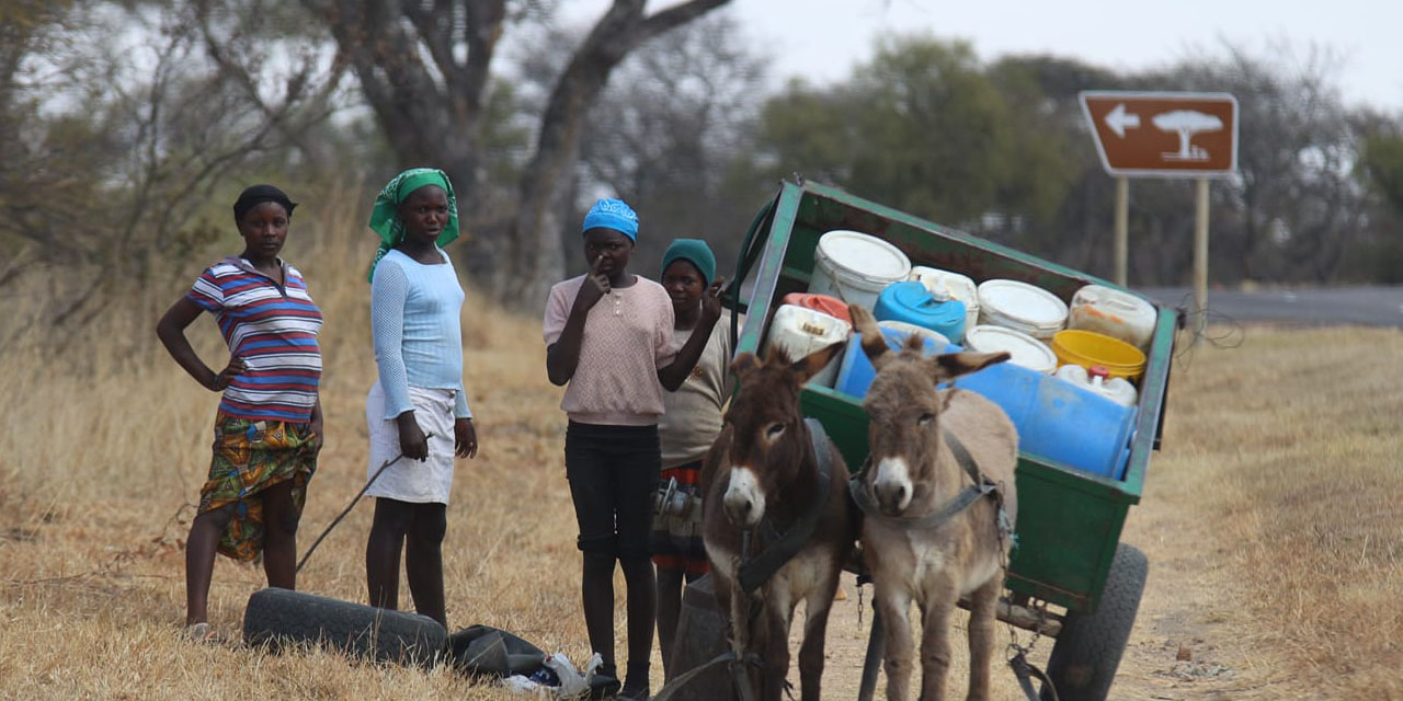 Health agriculture, women & youth in focus<br>… as Regional dialogue on accountability gets underway