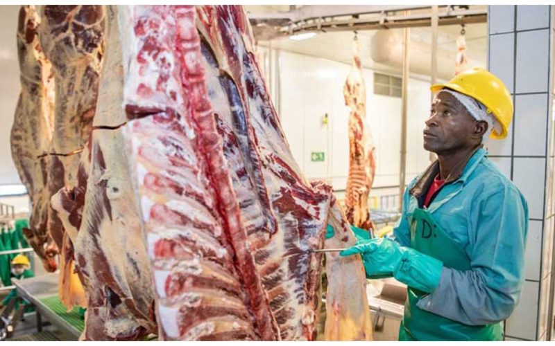 Namibian beef industry’s prime cut