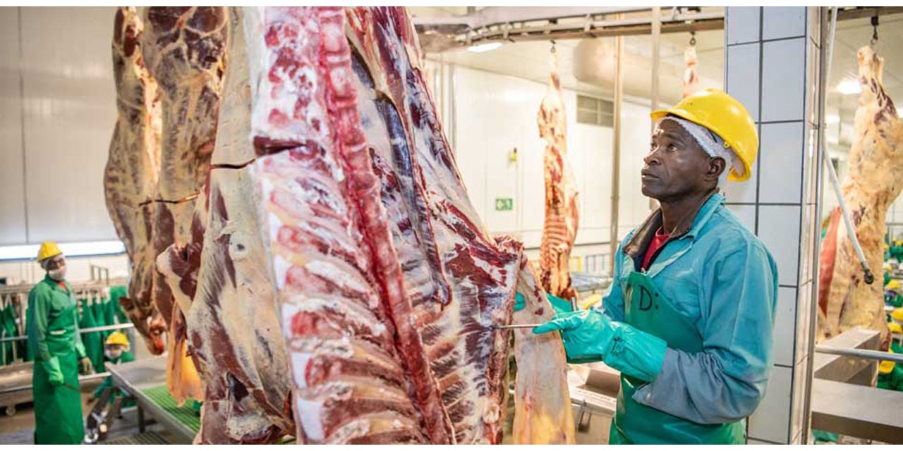 Namibian beef industry’s prime cut