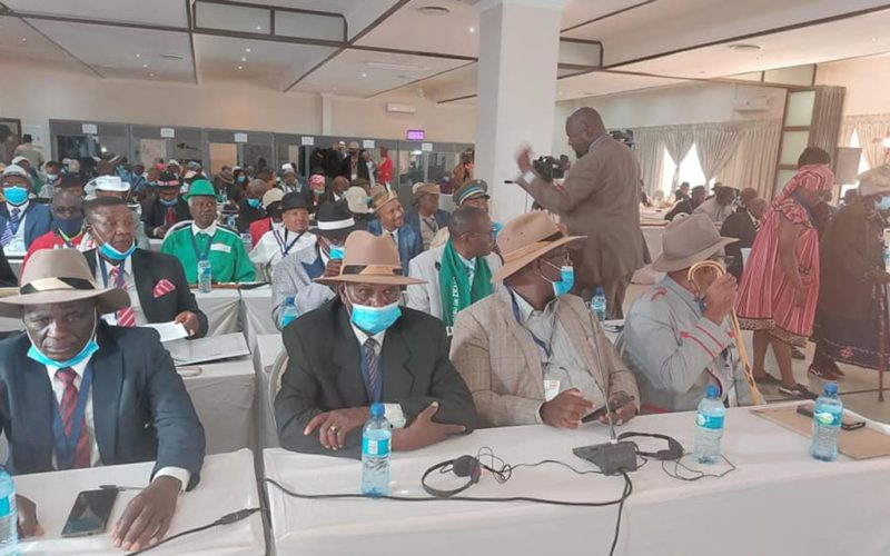 Traditional leaders urged to avoid succession fights