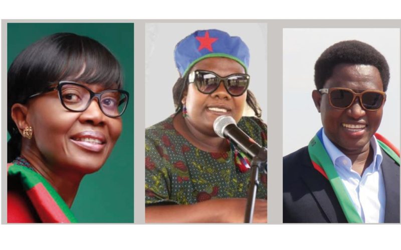 Swapo Campaign: Capability should trump age