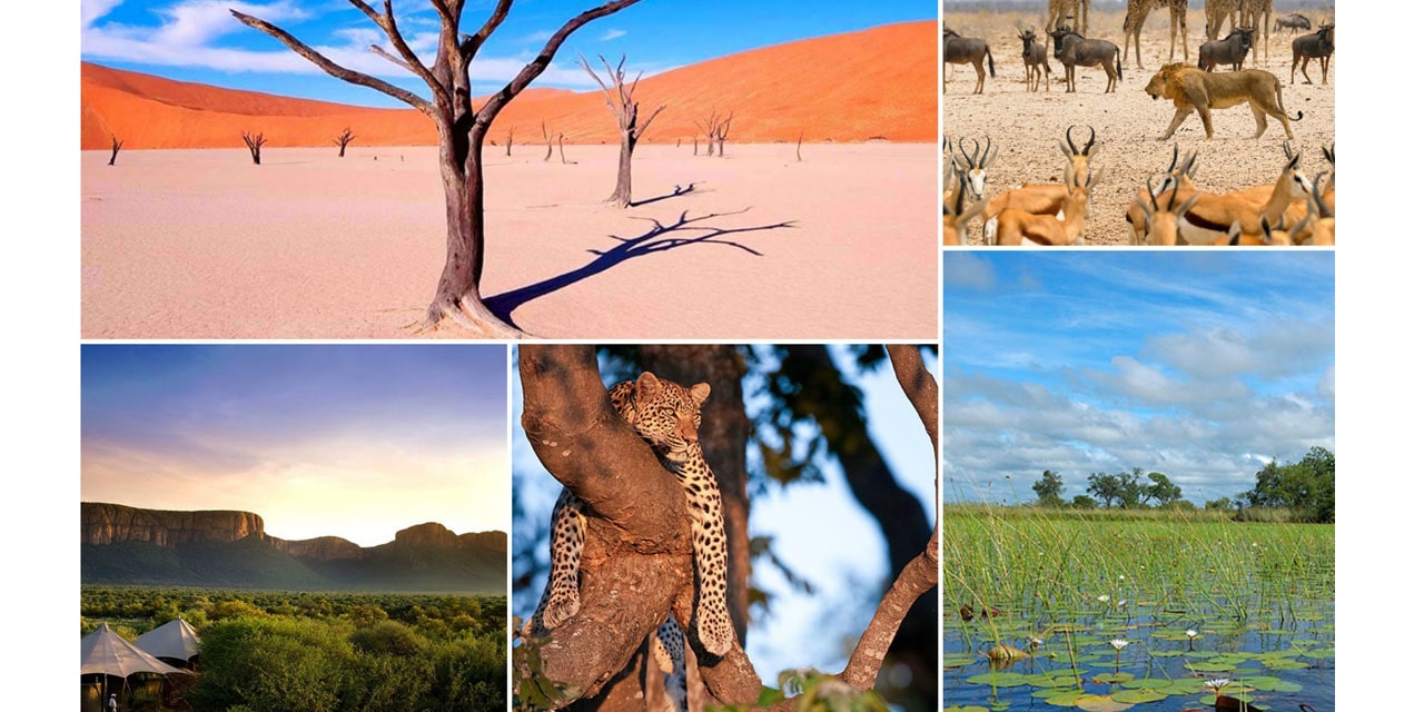 Over 200 000 tourists visit Namibia in 2022