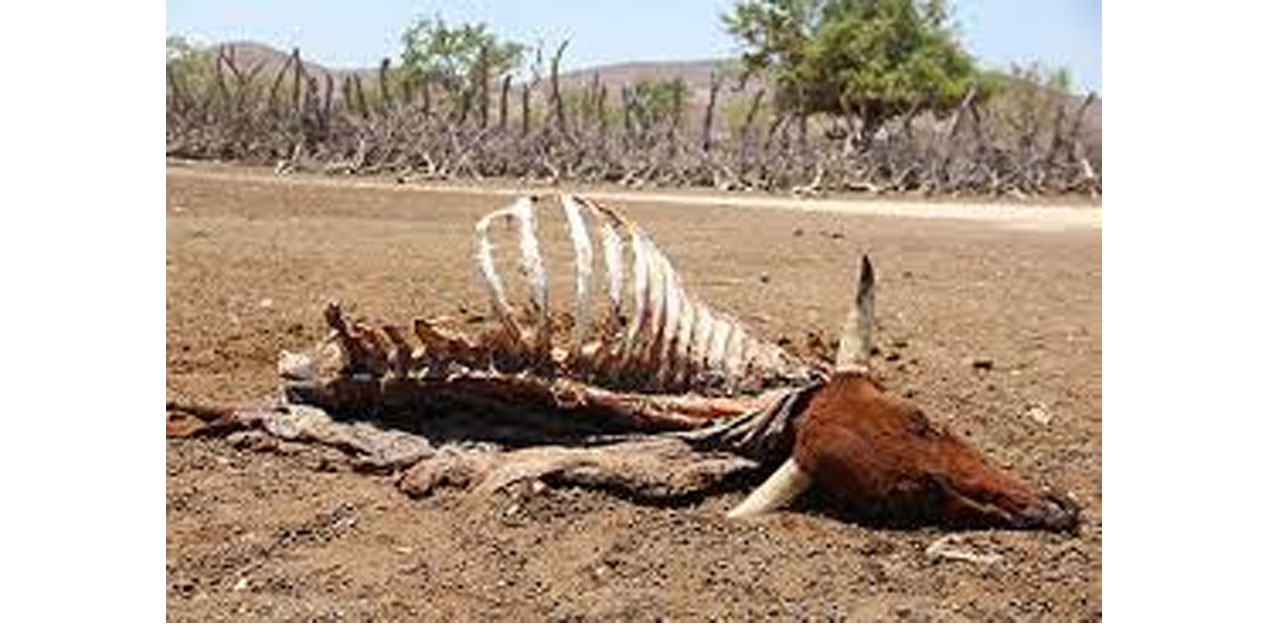 Severe drought necessitates urgent mitigation measures