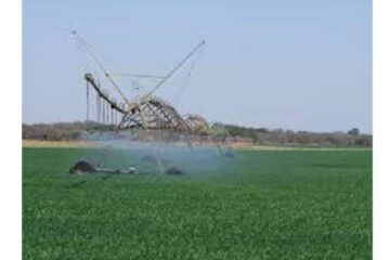 Locals can form JVs with foreigners for Green Schemes…. Investors required to have financial capacity of up to N$650m