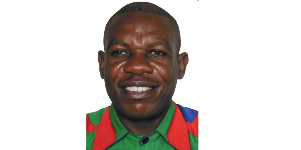 No Swapo congress, no party presidential candidate: Shipwikineni