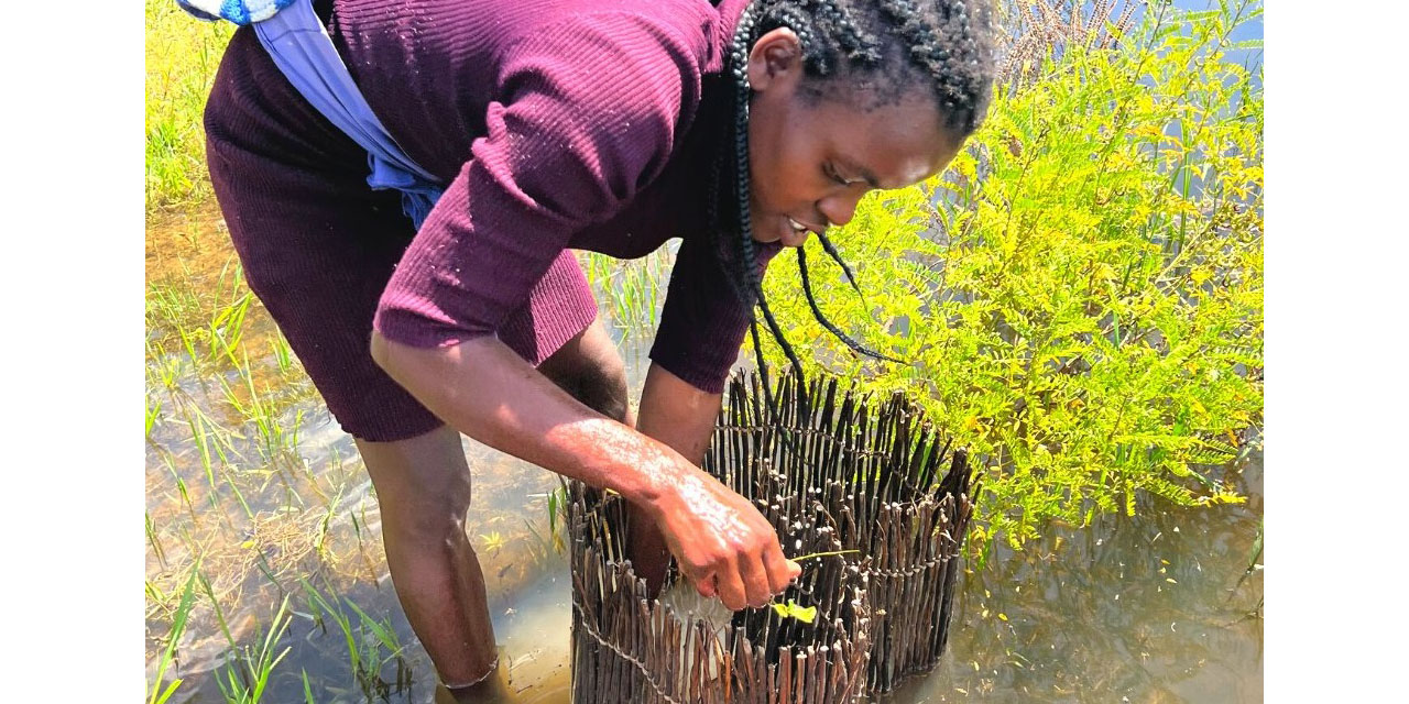 Empowering women through fishery operations