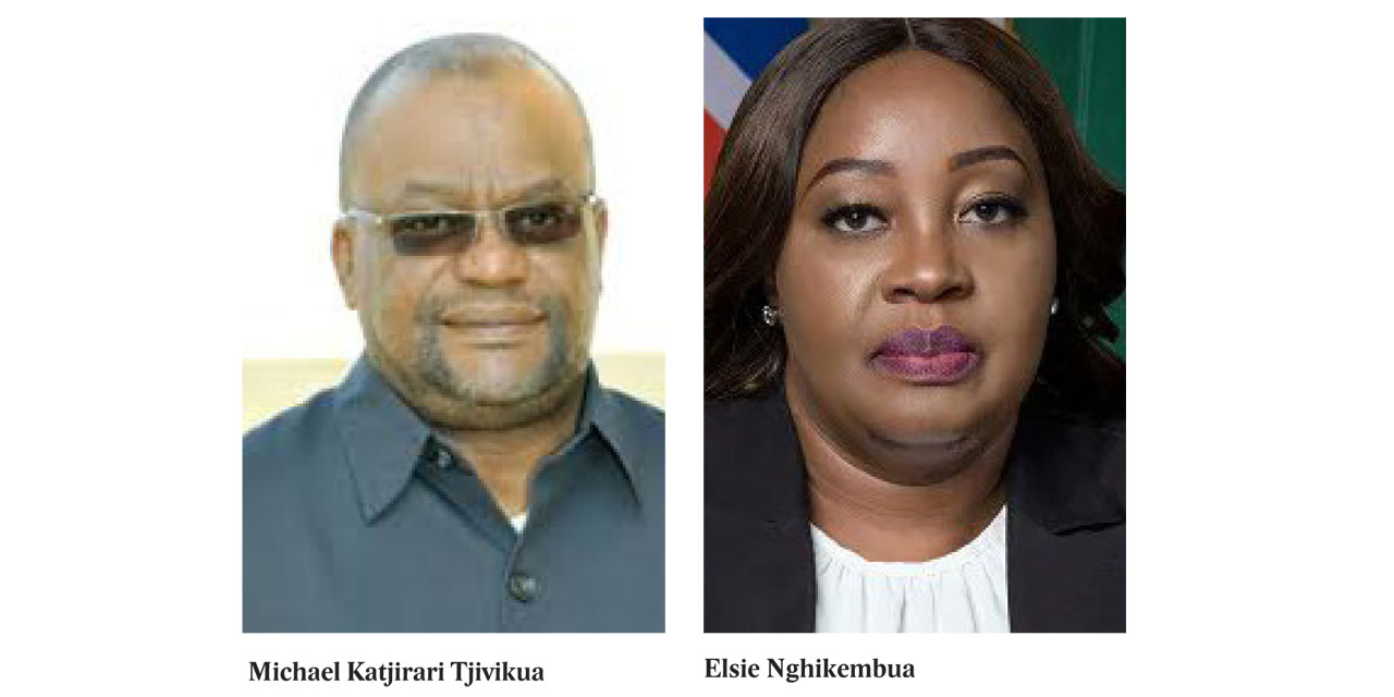 ECN CEO hopeful disqualified for failing to declare Swapo ties