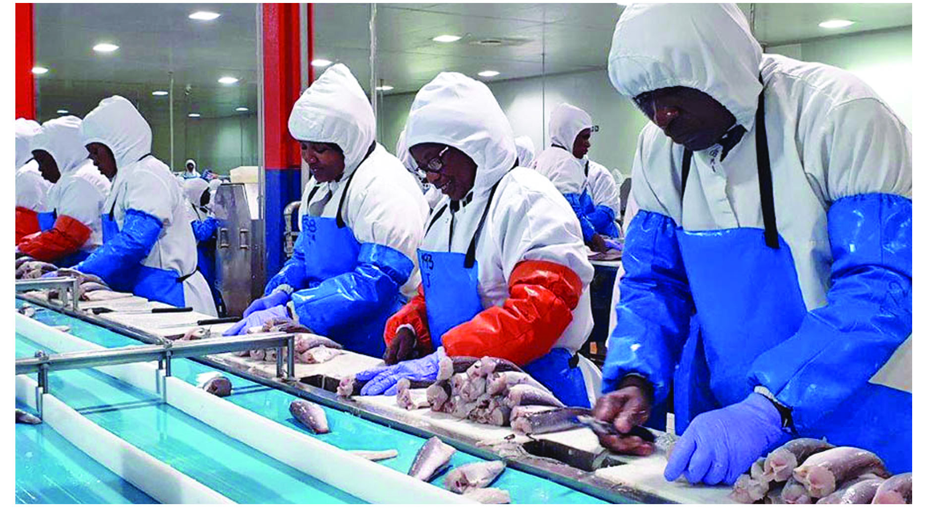 NamRA’s ‘fishy’ tax assessment disputed…. Fishing industry says it contributes N$1,32 billion in taxes