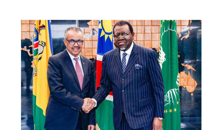 WHO Secretary-General engages in bilateral talks during Namibian visit