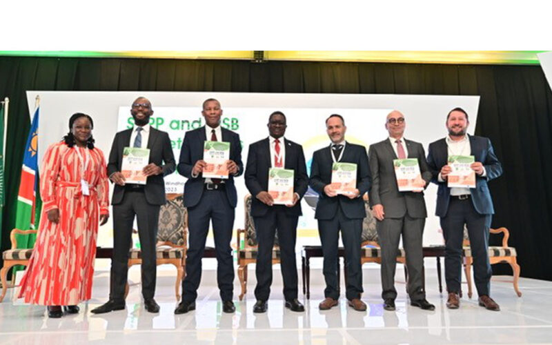 SAPP and MSB access guide launched to boost energy trading market