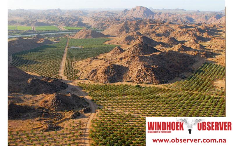 Dates exports reach N$25.8 million